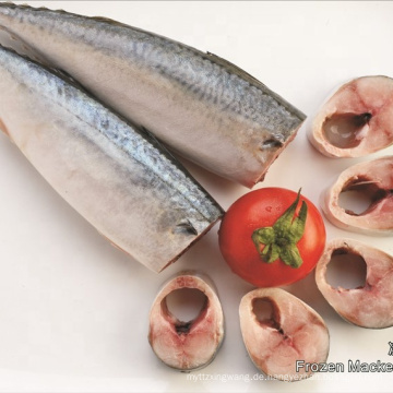 Gefrorene Meeresfrüchte Pacific Makrelen HGT Fisch